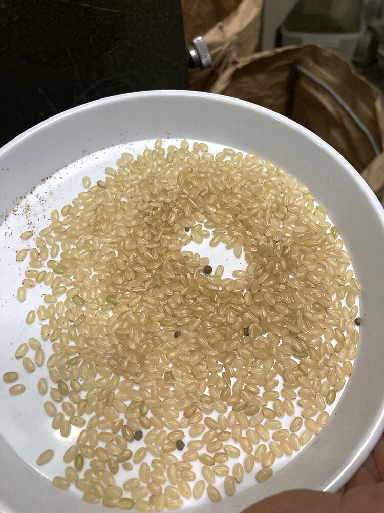 ハネた玄米